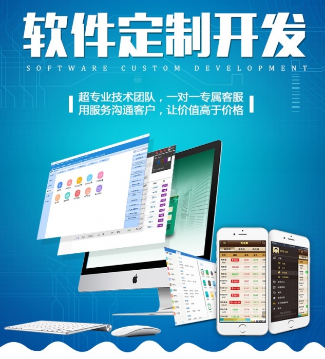 1605426904499831 行業(yè)軟件開發(fā)